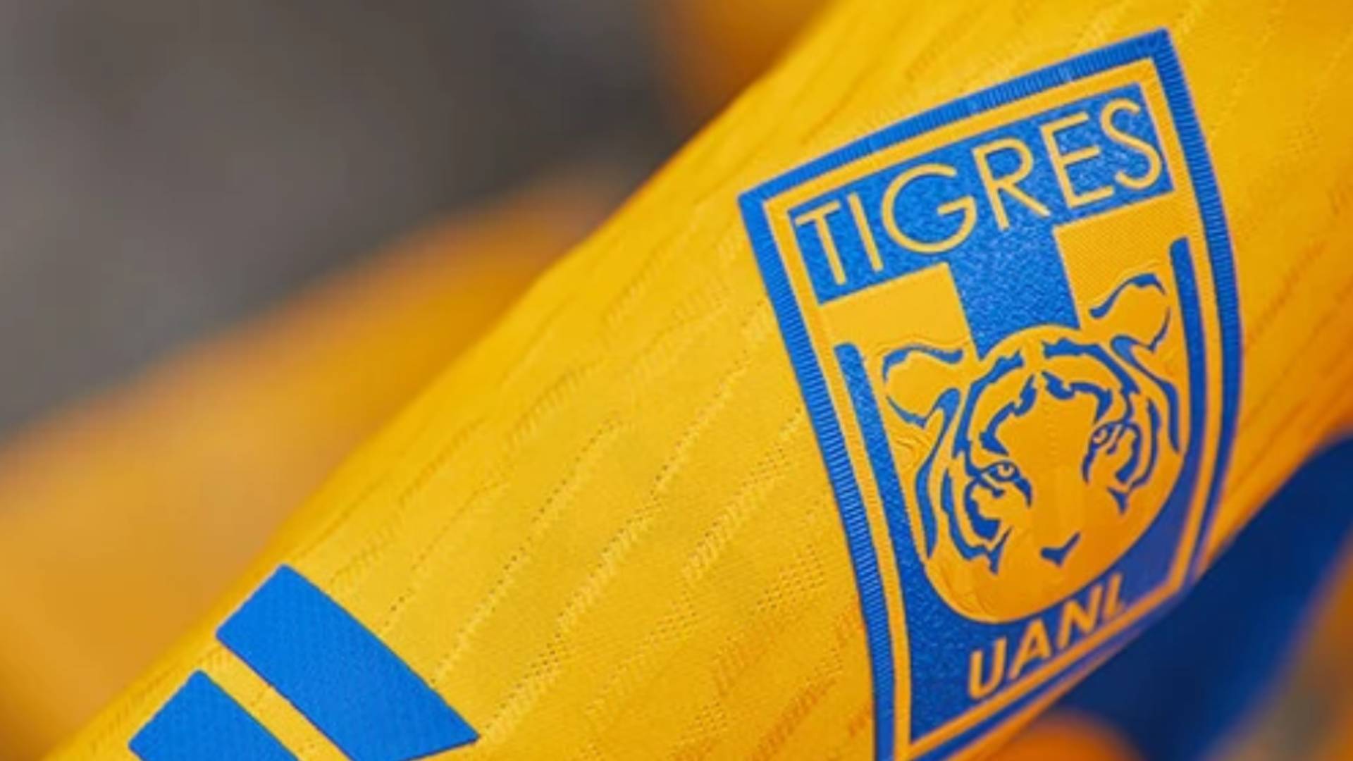 Nueva camiseta de tigres 2020 hot sale