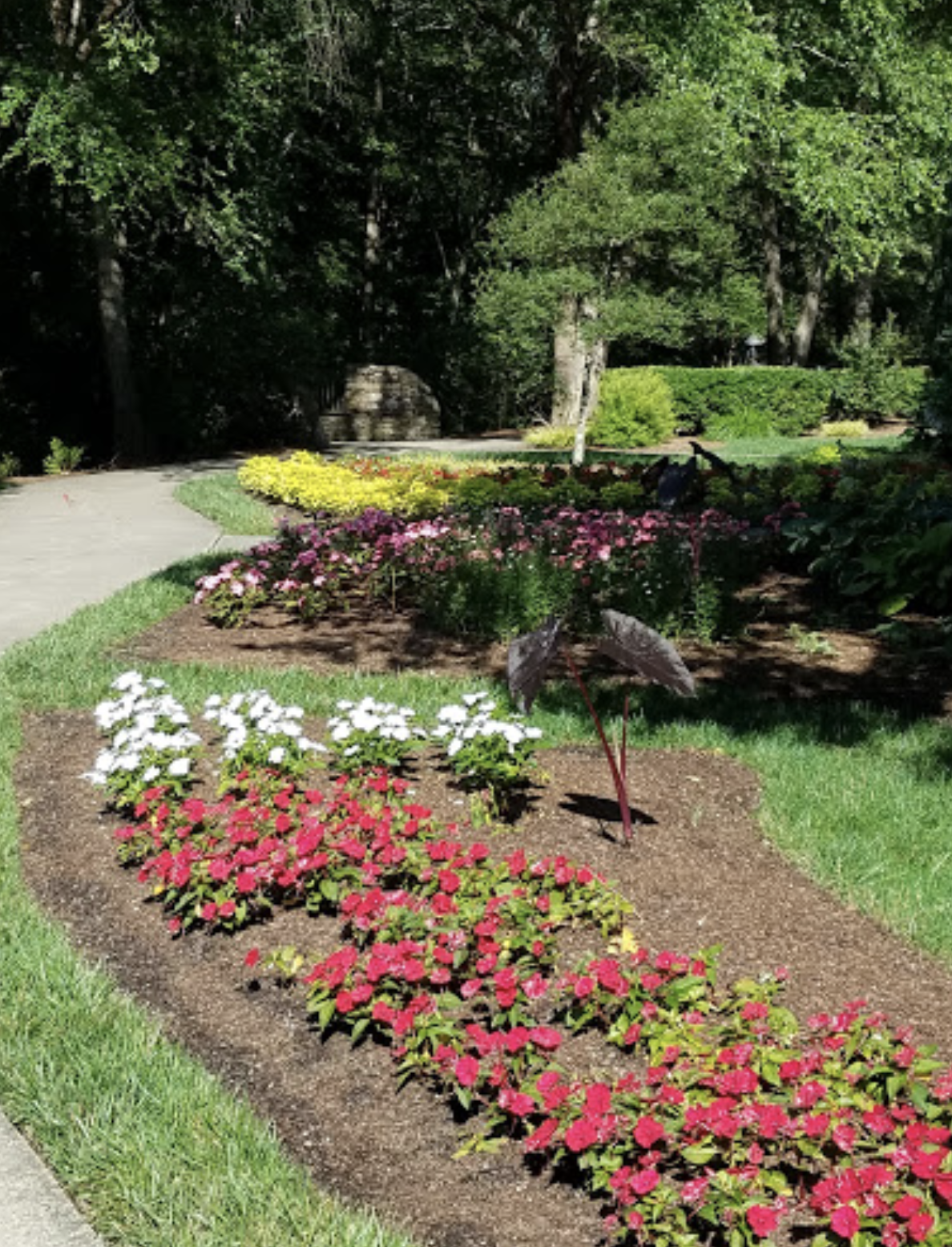 Los 10 mejores jardines para disfrutar de la primavera en Carolina del  Norte | Fotos | Univision 40 Raleigh WUVC | Univision, image size:1188x1556