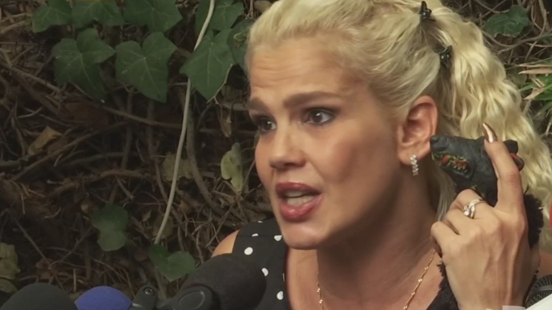 Campaña en México pide la salida de Niurka Marcos del país Shows