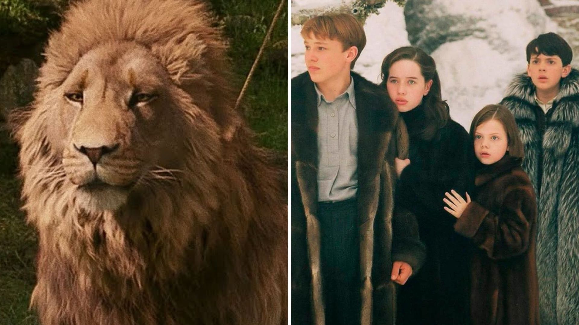 A reboot of ‘The Chronicles of Narnia’ is coming to Netflix: everything we know about the new version