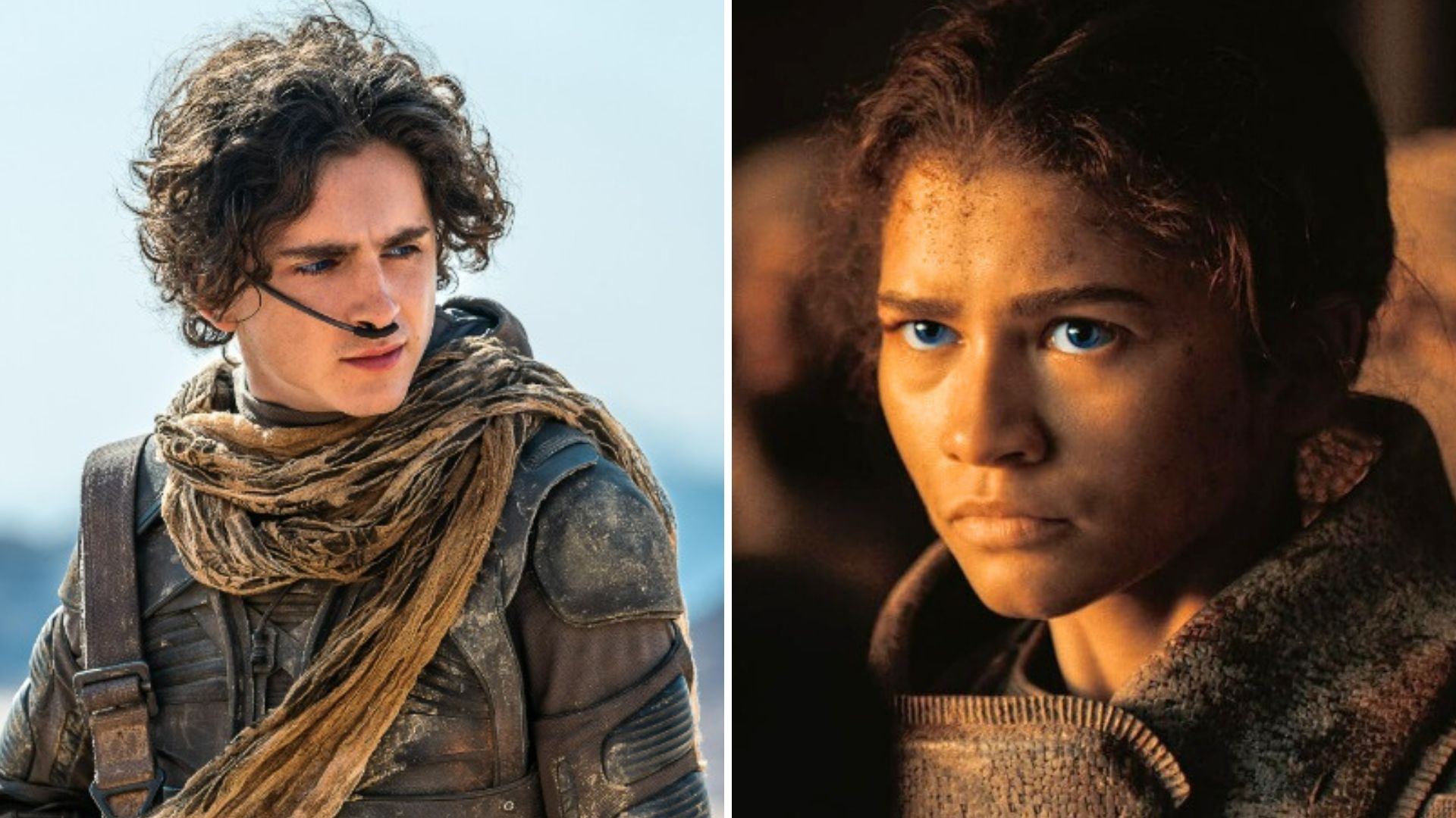 Yes, there will be a “Dune 3”!  They reveal which book it will be based on, the plot and if there is already a release date
