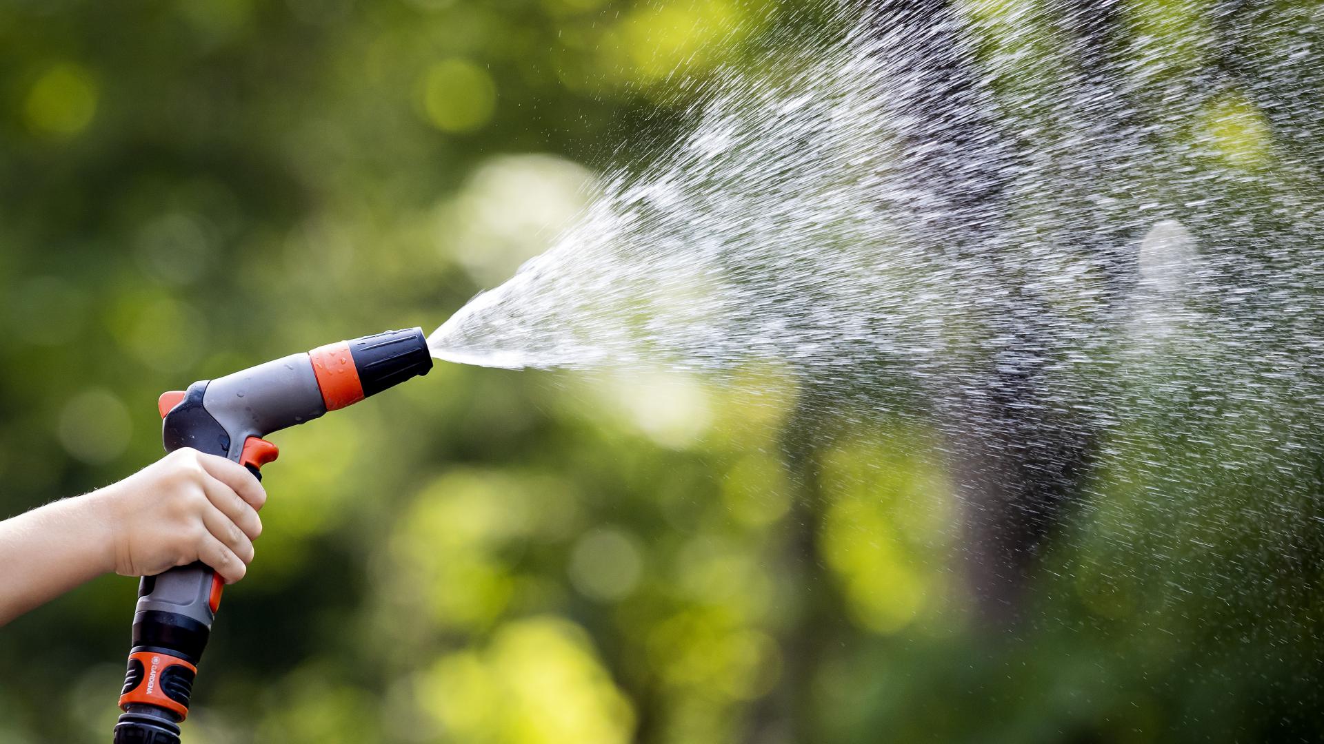 Conoce los reembolsos disponibles por el ahorro de agua en Los Ángeles