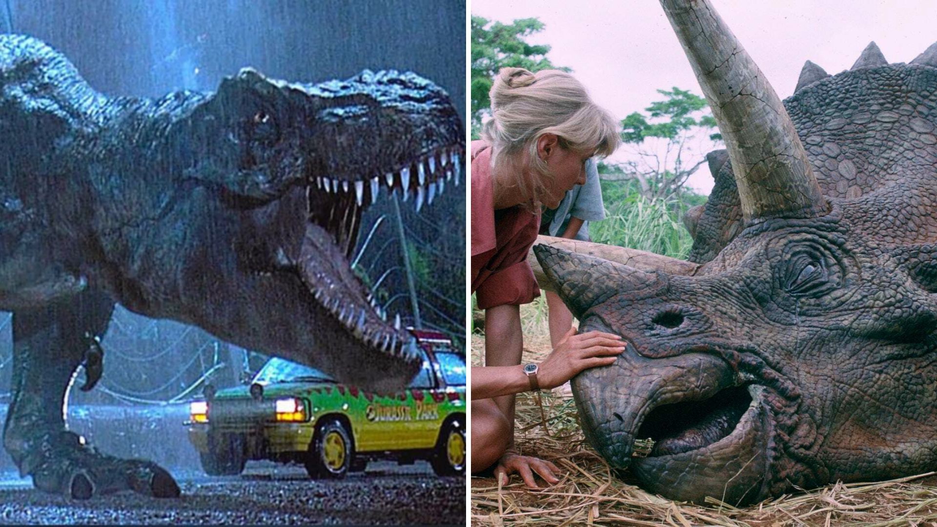 ‘Jurassic Park’ in real life: Tiktokers reveal how much it would cost to revive the dinosaurs