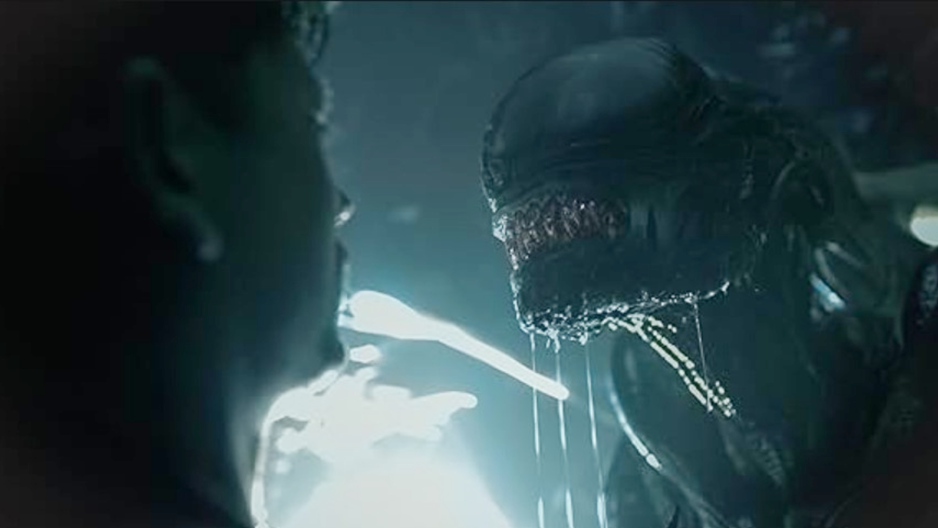 Alien: Romulus': así es el nuevo xenomorfo de la película de Fede Álvarez y  Cailee Spaeny (es interpretado por Robert Bobroczkyi) | Entretenimiento  Cine y Series | Univision, image size:1920x1080