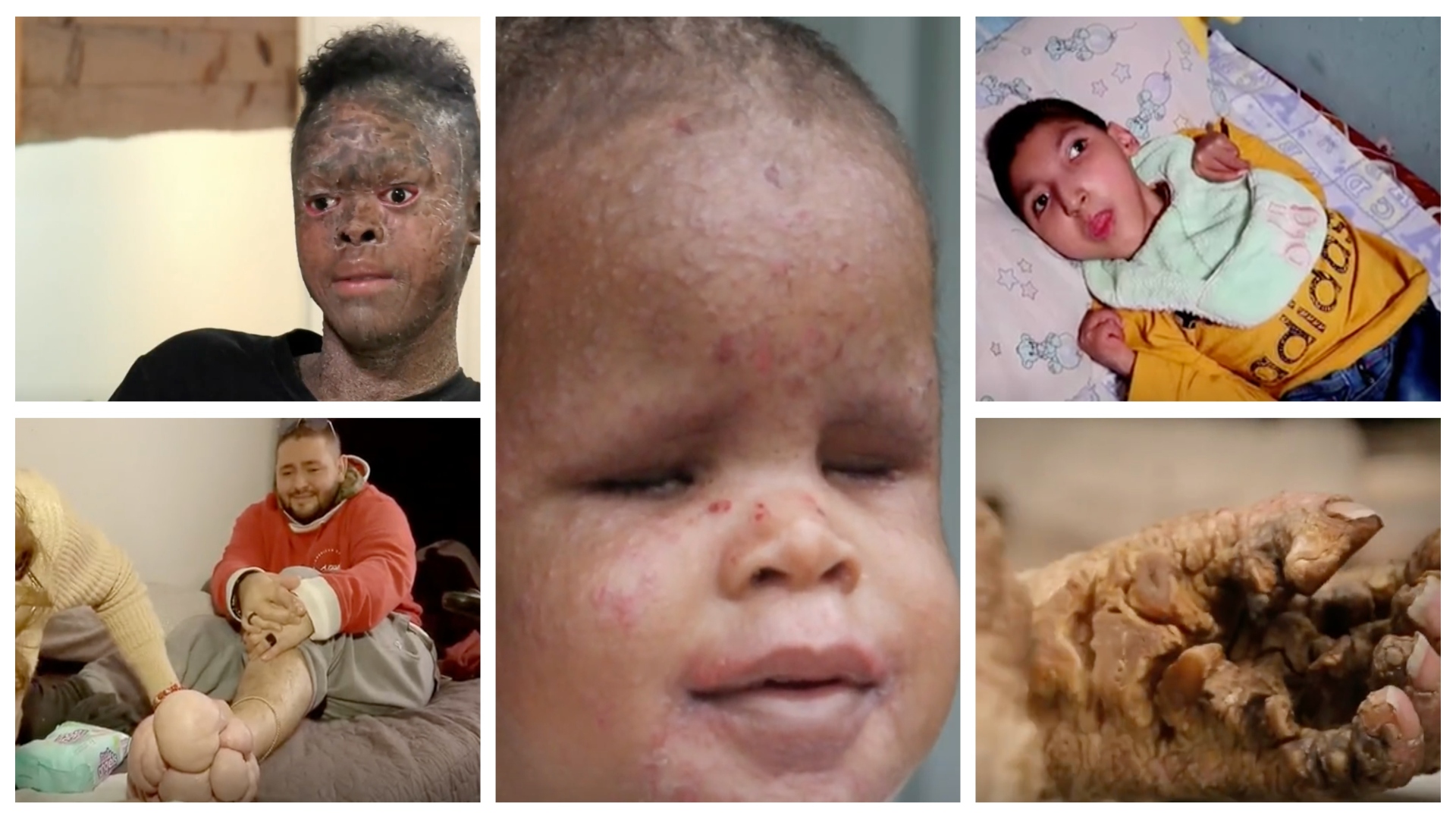 12 casos de Ayuda de Impacto que más conmovieron en 2022 Shows Primer Impacto Univision