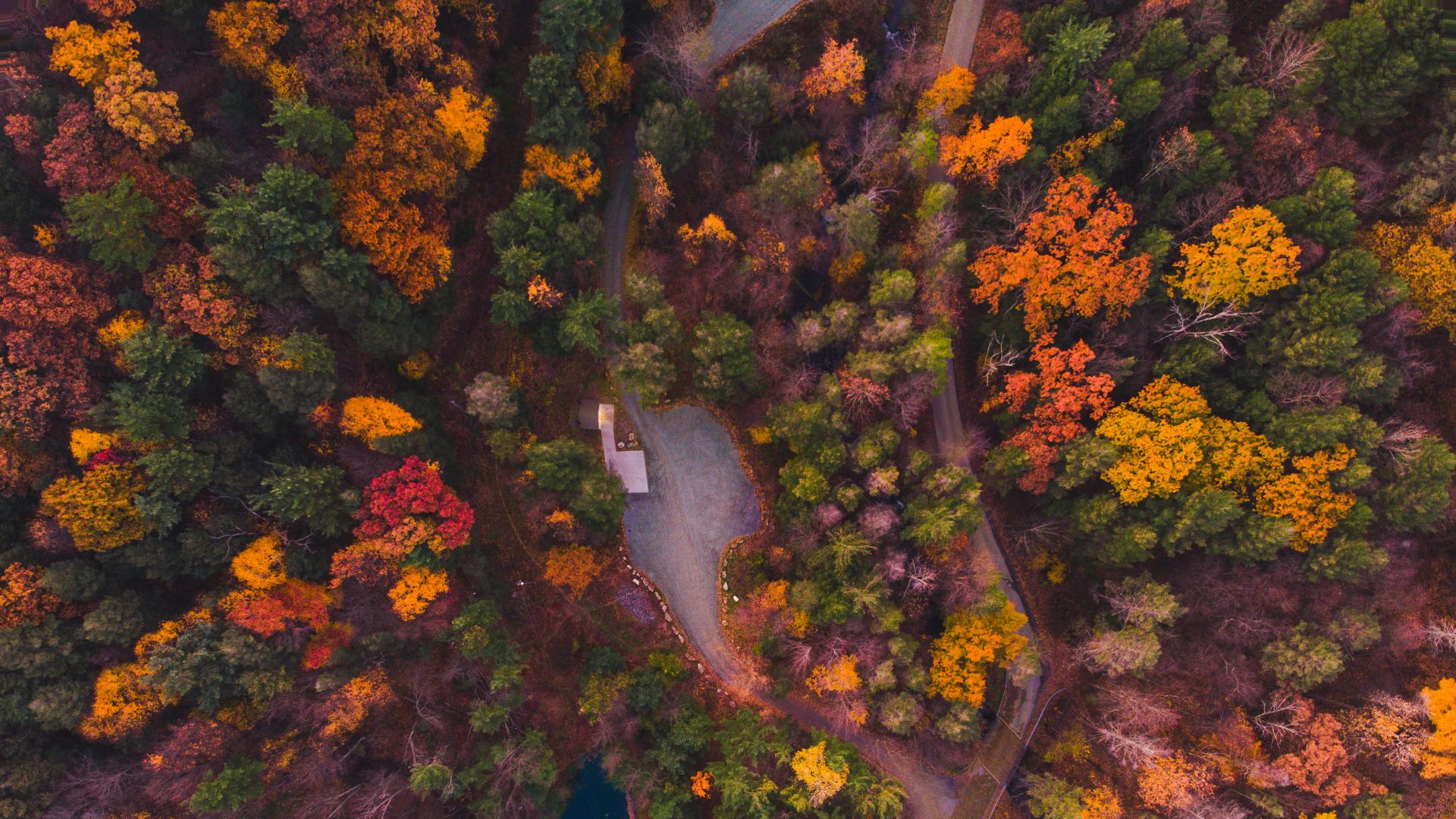 10 lugares para ver los colores del otoño en el norte de California | Tu  Ciudad Localísimo Sacramento | Univision, image size:1920x1080