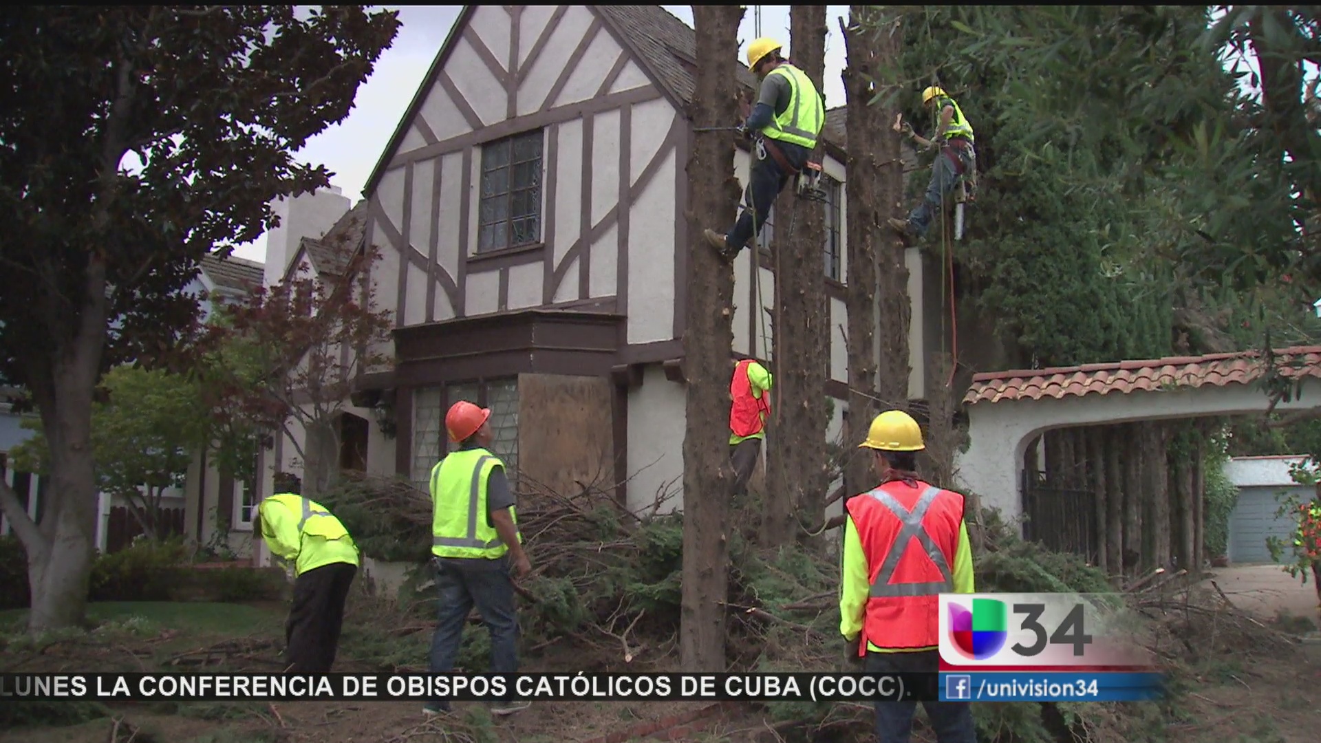 No todo es color de rosas para los jardineros | Video | Univision 34