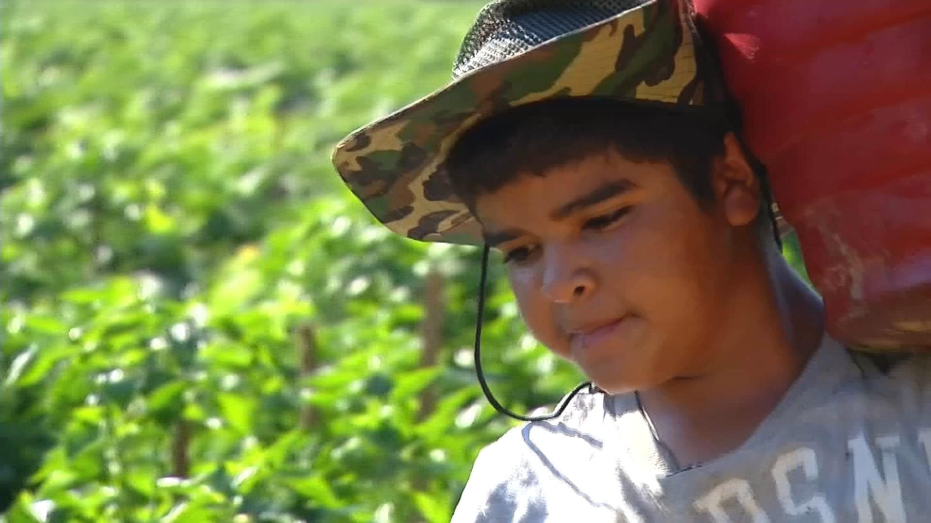 Between school work and field work: This is what a school year is like ...