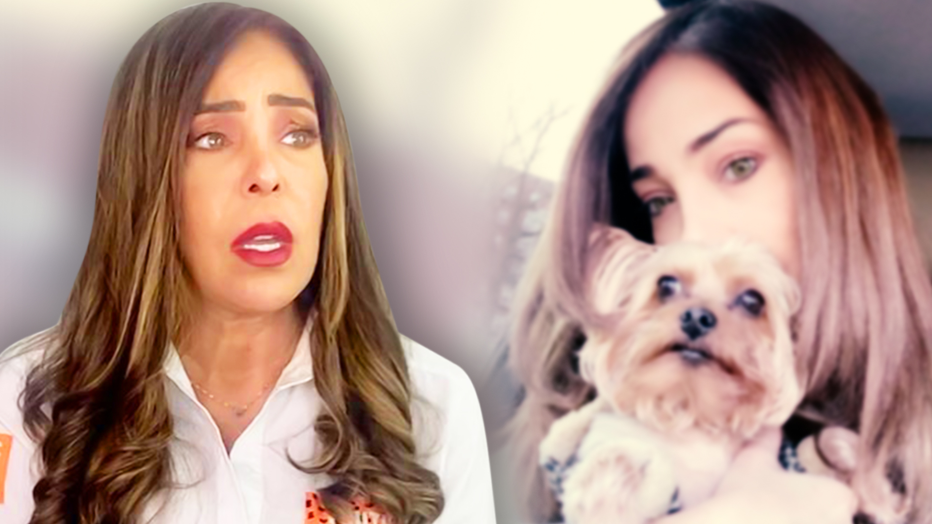 Gelena Solano, reportera de El Gordo y La Flaca, vuelve a estar de luto  tras la muere de su otro “hijo” | Univision Famosos | Univision