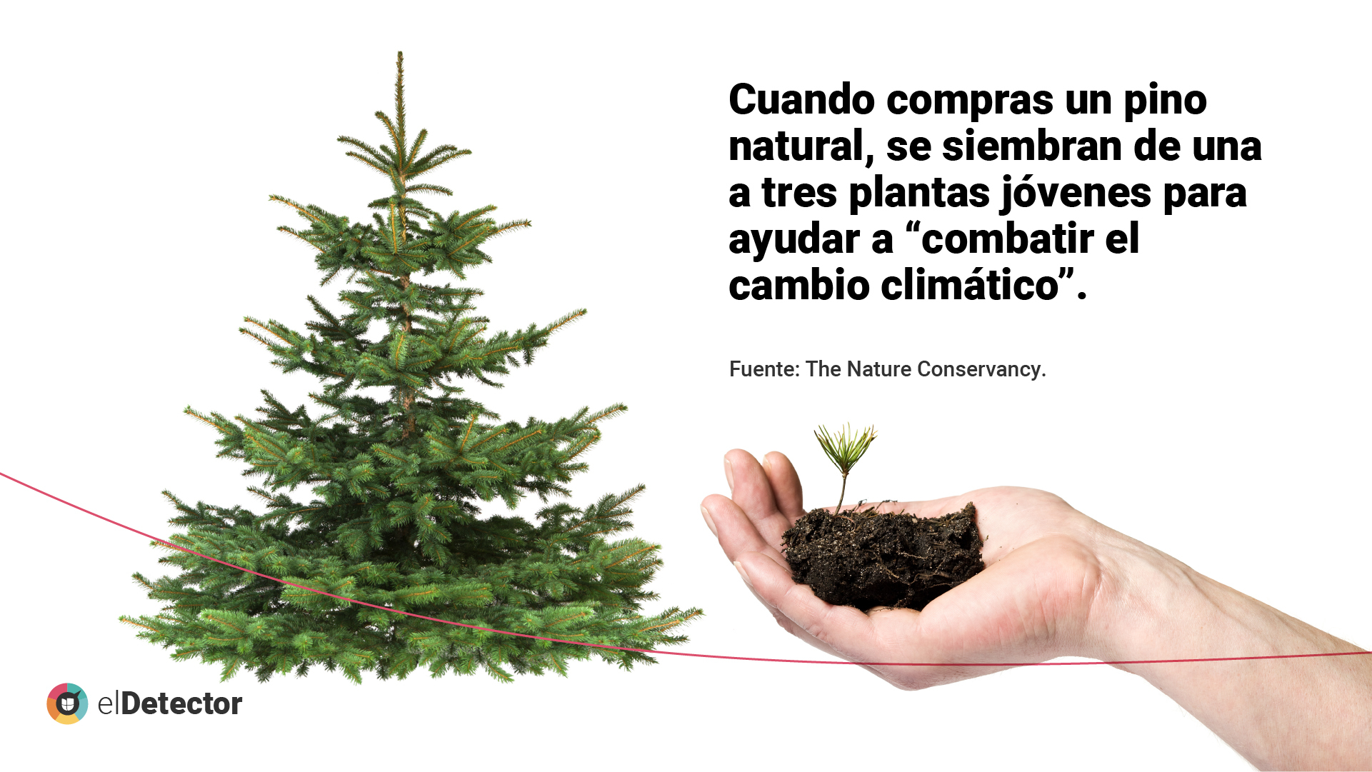 La verdadera historia del Árbol de Navidad - Cuentos de Navidad - Cuentos  de Navidad para niños, image size:1921x1081