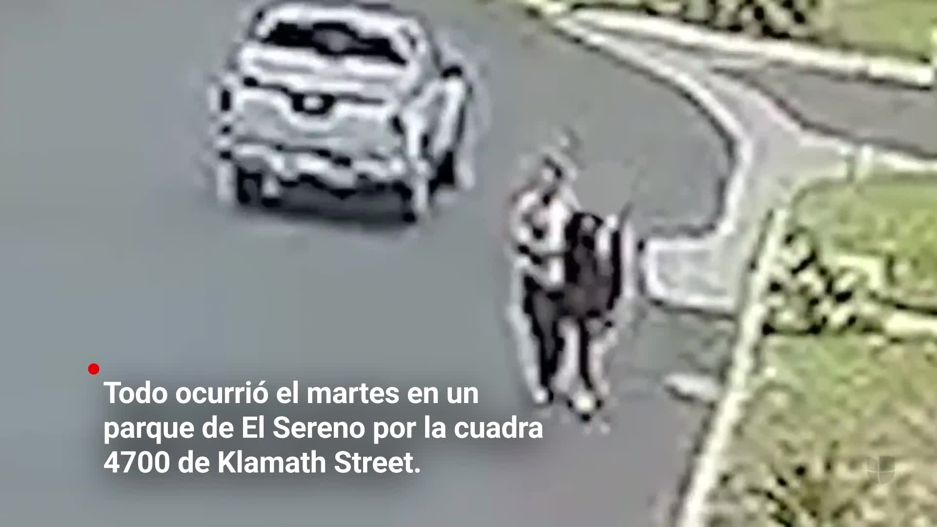 Capturan A Sospechoso De Secuestrar Y Agredir Sexualmente A Un Menor En Los Ángeles Video 2762