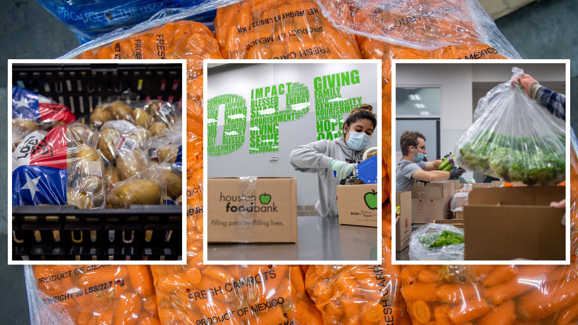 Senior Box Houston Food Bank at Daria Willis blog