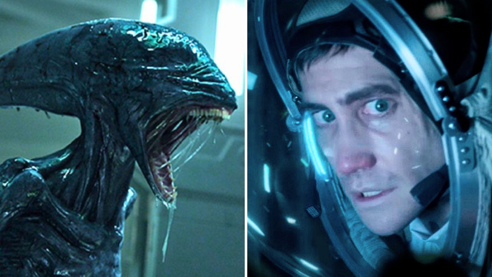 10 movies that combine horror and sci-fi to keep you on the edge of your seat (where to watch them)