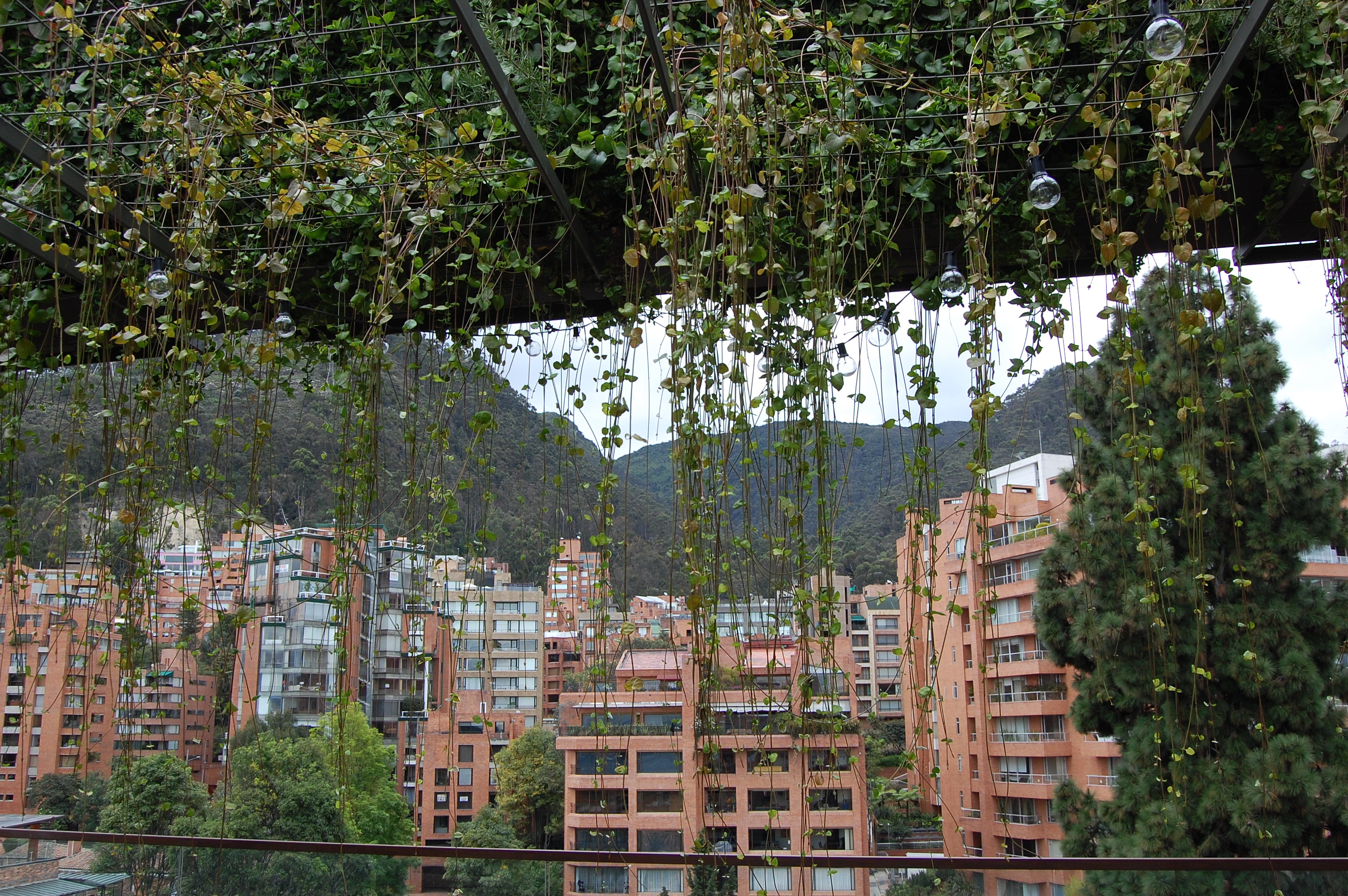 Bogotá tiene el jardín vertical más alto de América Latina | N+ Univision |  Univision