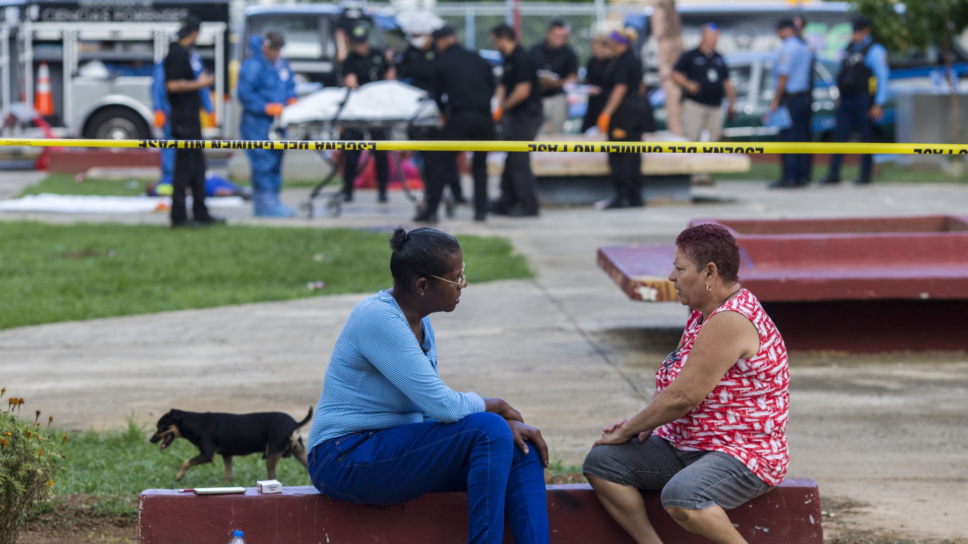 Una masacre vuelve a sembrar el terror en Puerto Rico es la quinta en