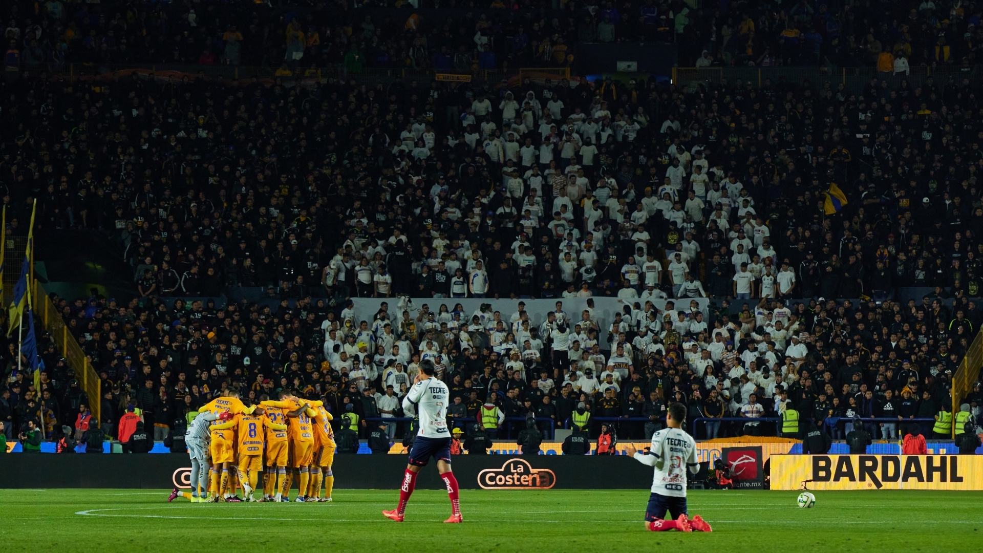 Tigres vs rayados libres y lokos hacen mosaico de fantasma por la