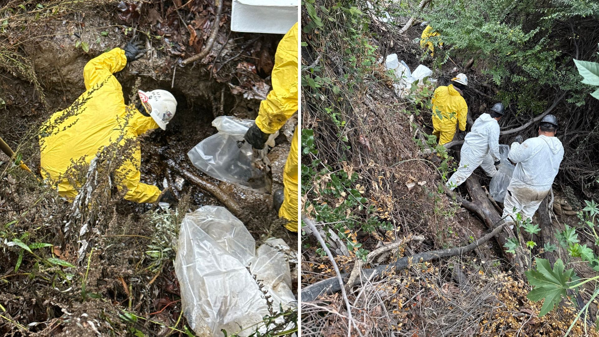 𝐕𝐞𝐧𝐭𝐮𝐫𝐚 𝐏𝐚𝐫𝐫𝐮𝐜𝐜𝐡𝐢𝐞𝐫𝐢 𝐇𝐚𝐢𝐫 𝐒𝐩𝐚  (@venturaparrucchierispa) · Rivalta di Torino, image size:1920x1080