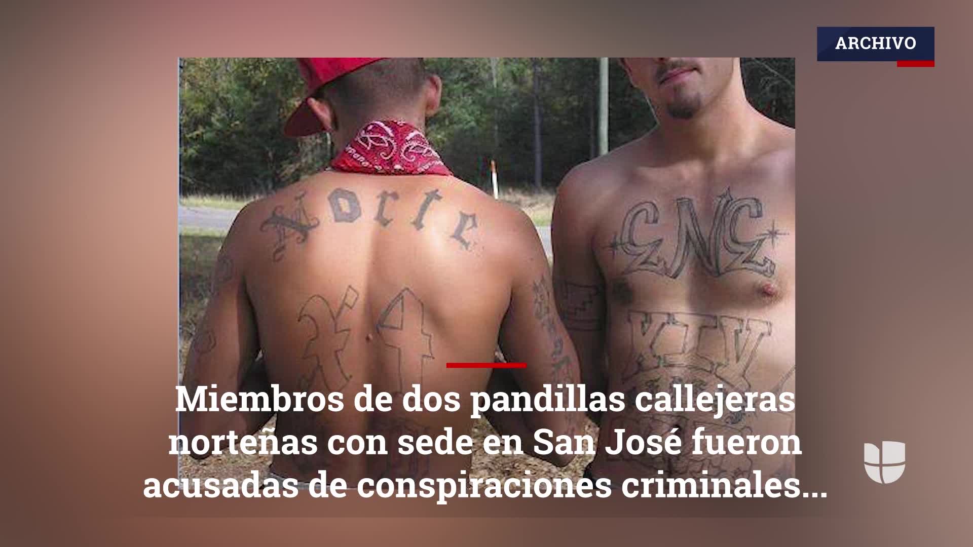 Mara Salvatrucha: MS-13: la banda callejera que le quita el sueño a Trump |  Internacional | EL PAÍS, image size:1920x1080