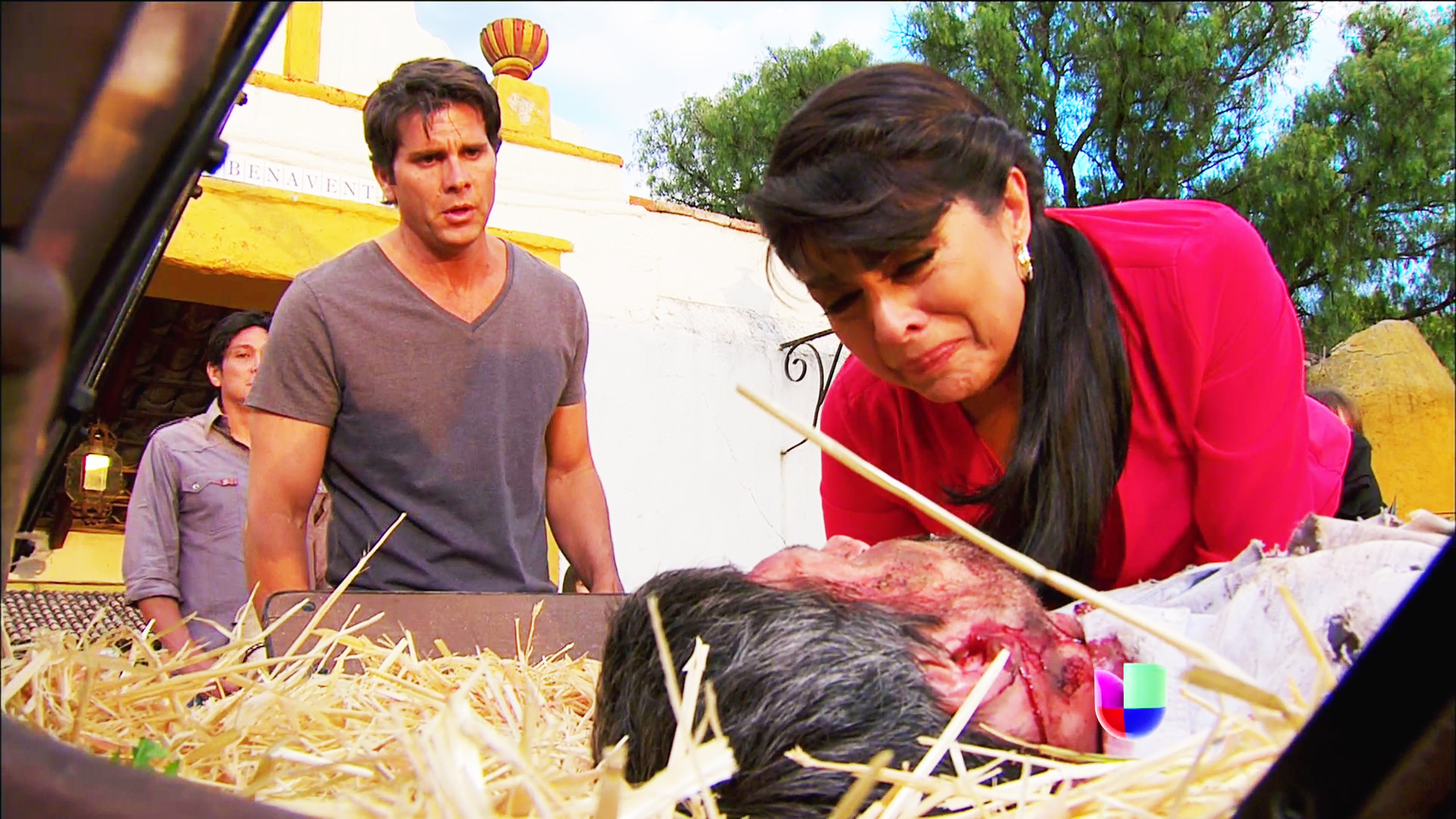 La Malquerida Capítulo 1 Novelas La Malquerida Univision
