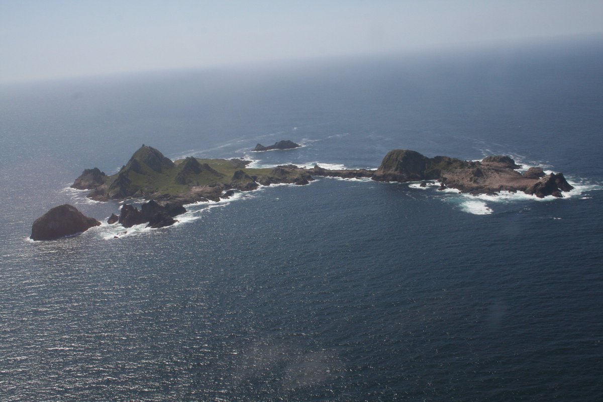 Por qué quieren fumigar con veneno para ratas un santuario de aves cerca de  San Francisco | Noticias Univision Planeta | Univision