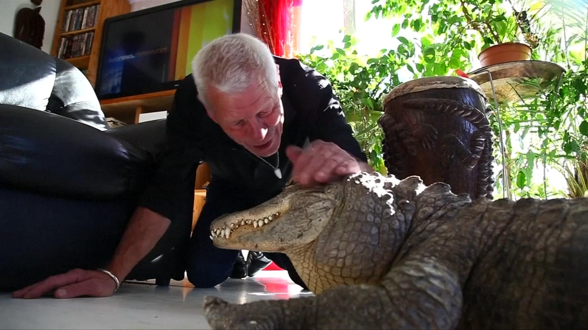 Увлечение превращается во вторую профессию