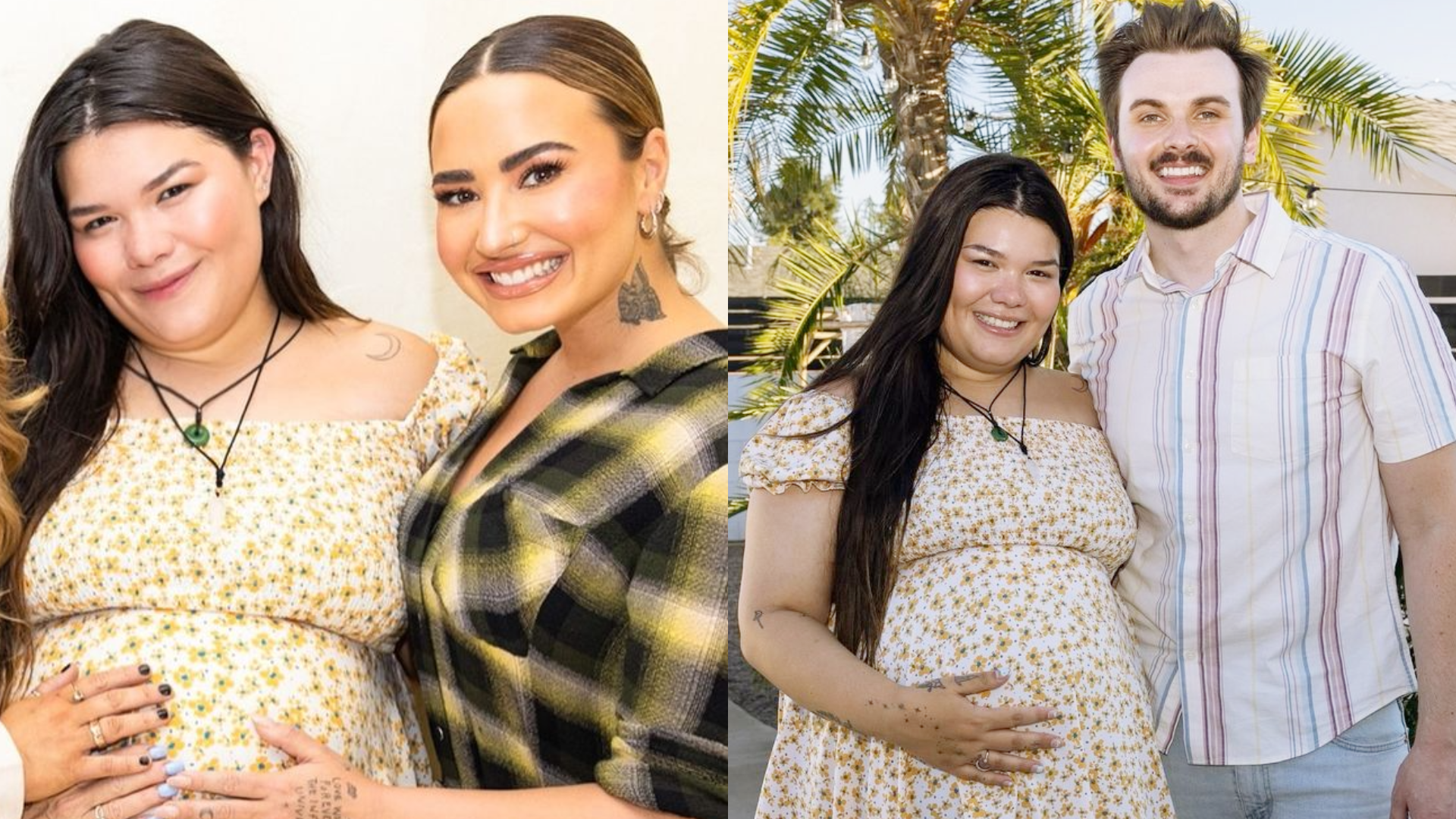 Demi Lovato’s newborn niece died: this happened