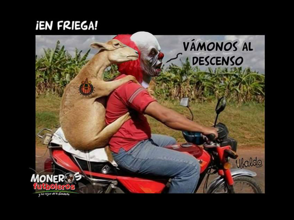 Los memes del empate de Chivas vs. Veracruz | TUDN Liga MX | TUDN, image size:1024x768