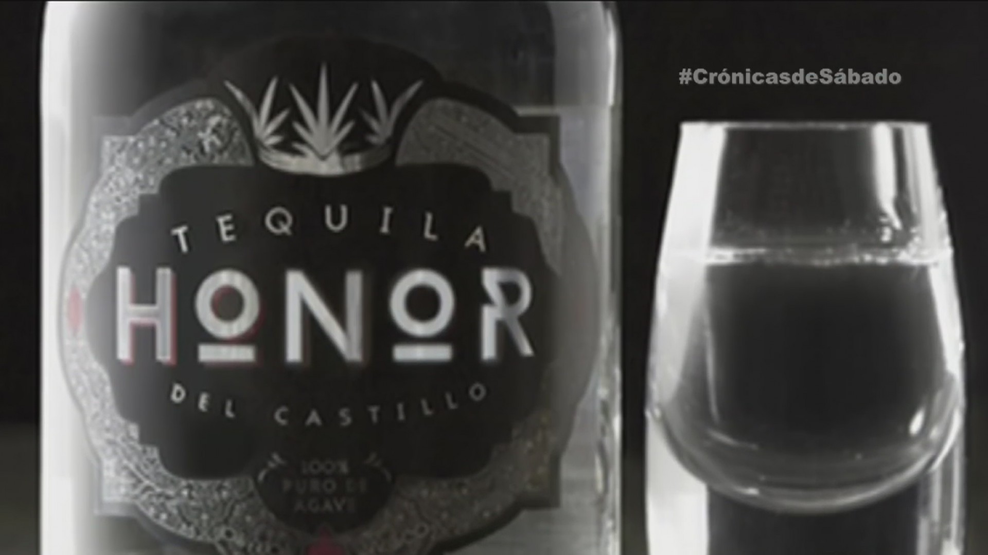 El tequila de Kate Del Castillo en medio de la controversia Shows Noticiero Univision Univision