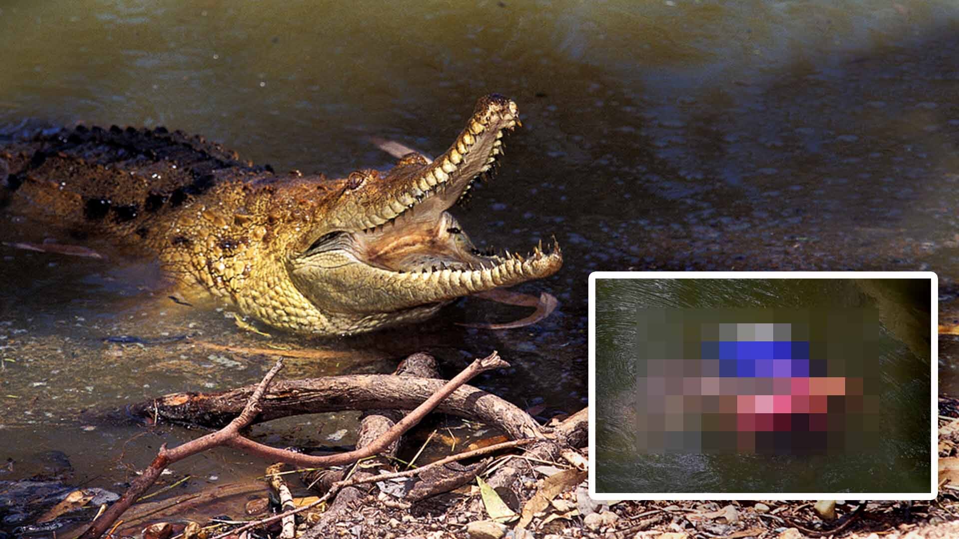 (Advertencia, contenido gráfico) Cocodrilo se come a una mujer que