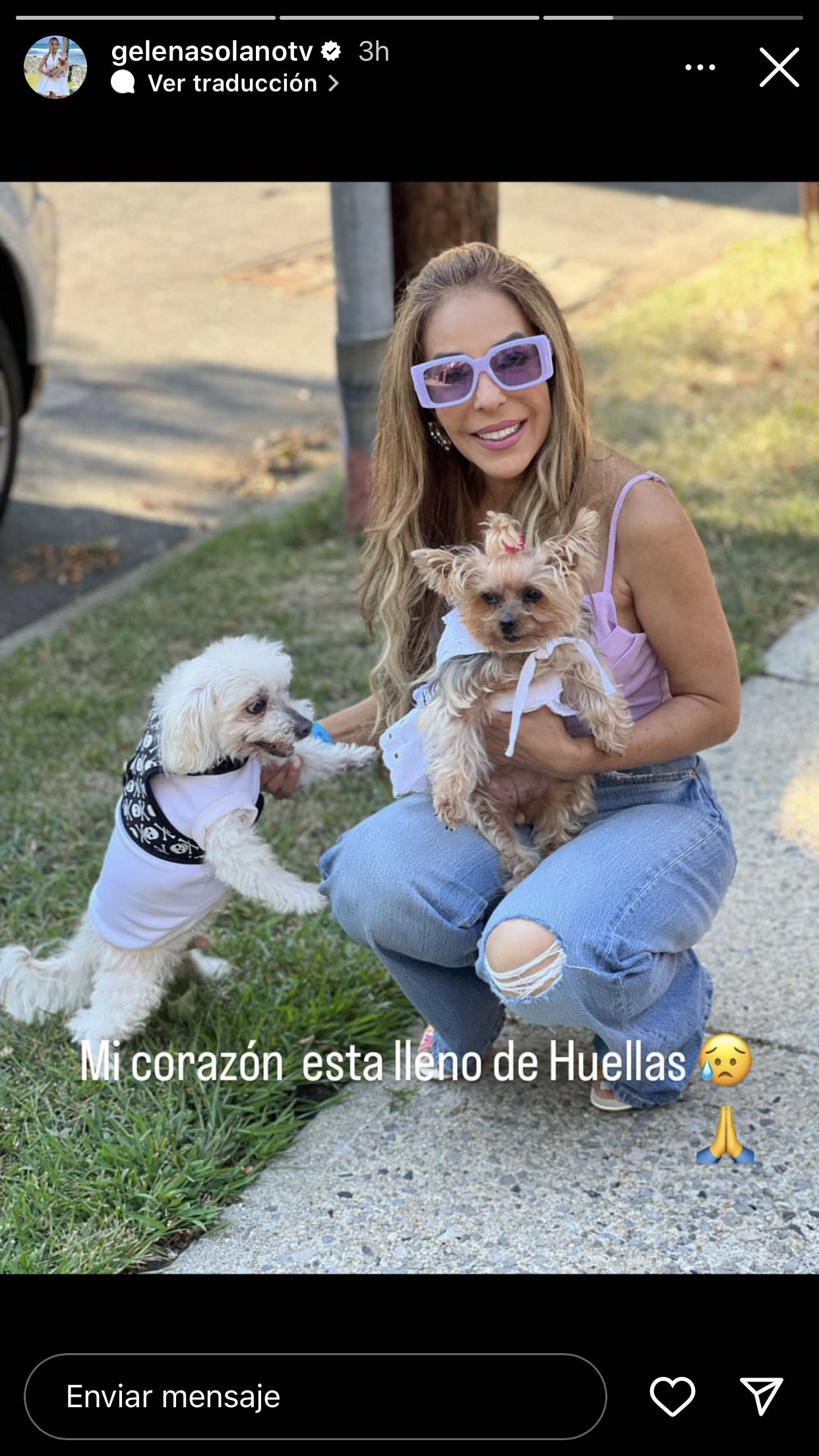Gelena Solano, reportera de El Gordo y La Flaca, vuelve a estar de luto  tras la muere de su otro “hijo” | Univision Famosos | Univision