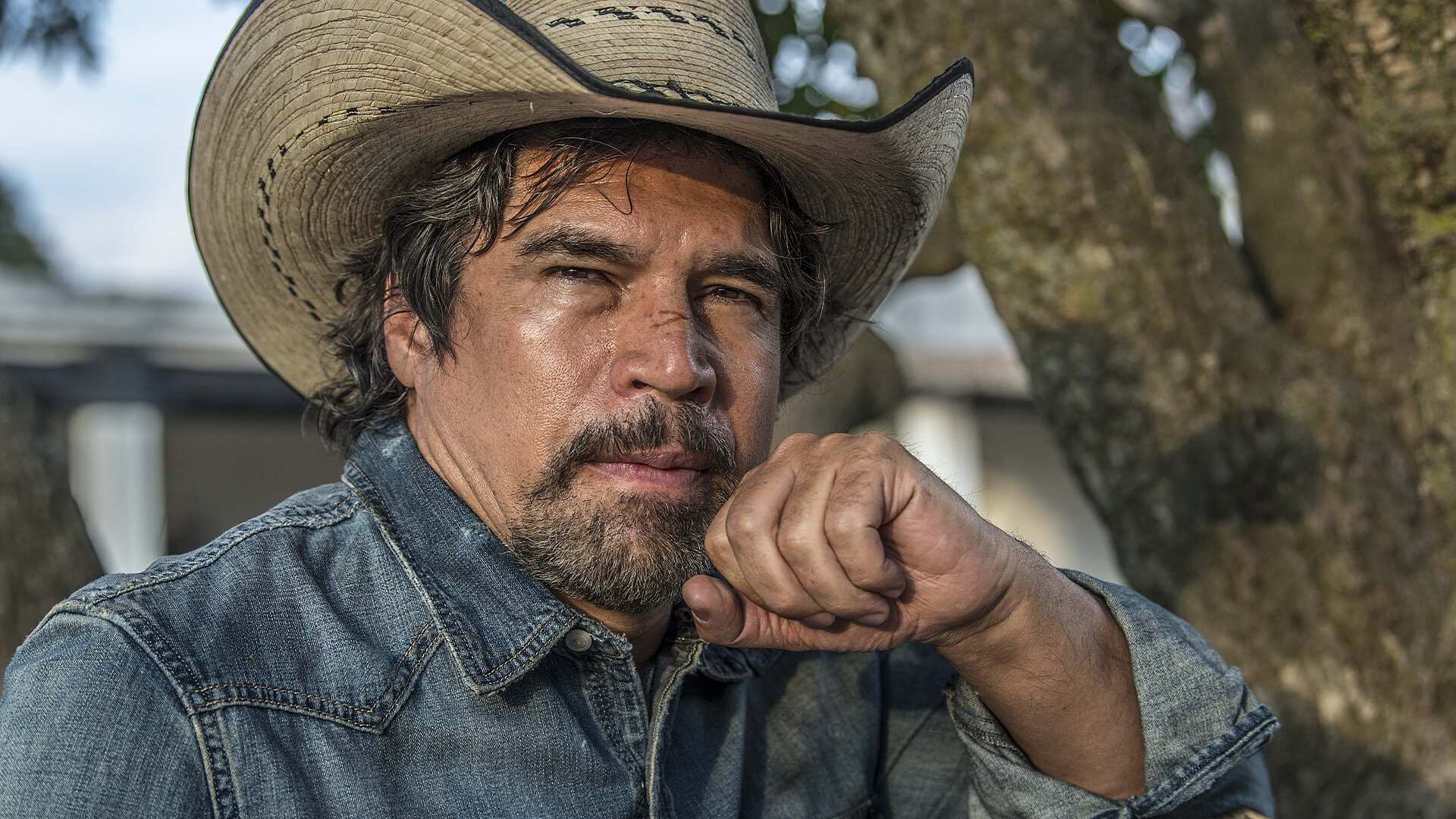 5 novelas de Alberto Estrella en blim tv, un imponente actor de