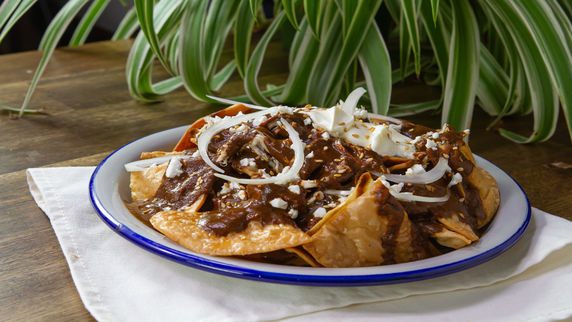 Chilaquiles de mole Delicioso Univision