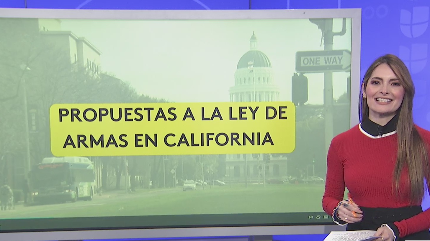 Estas son las propuestas para modificar la ley de control de armas en