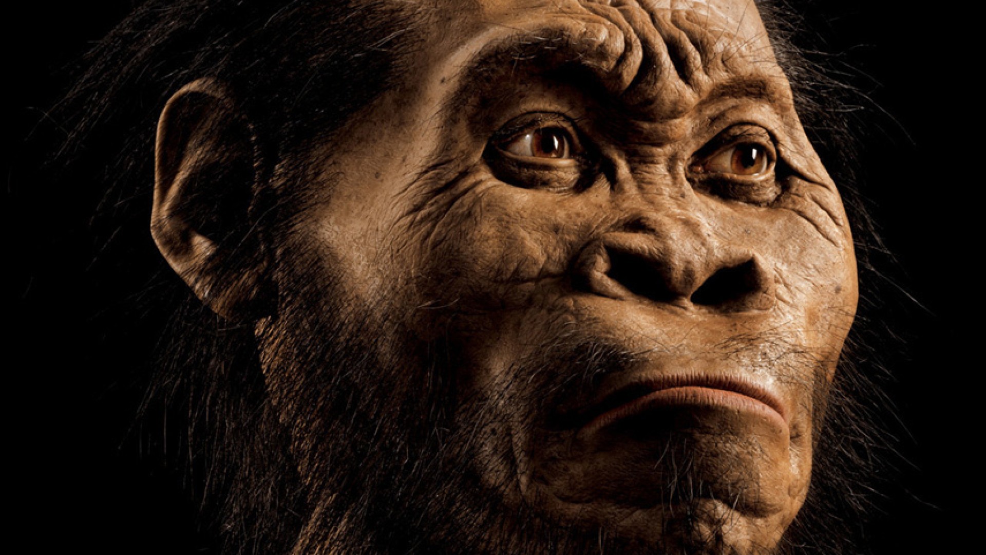 Homo naledi, el "nuevo pariente" de los humanos | Noticias Univision ...