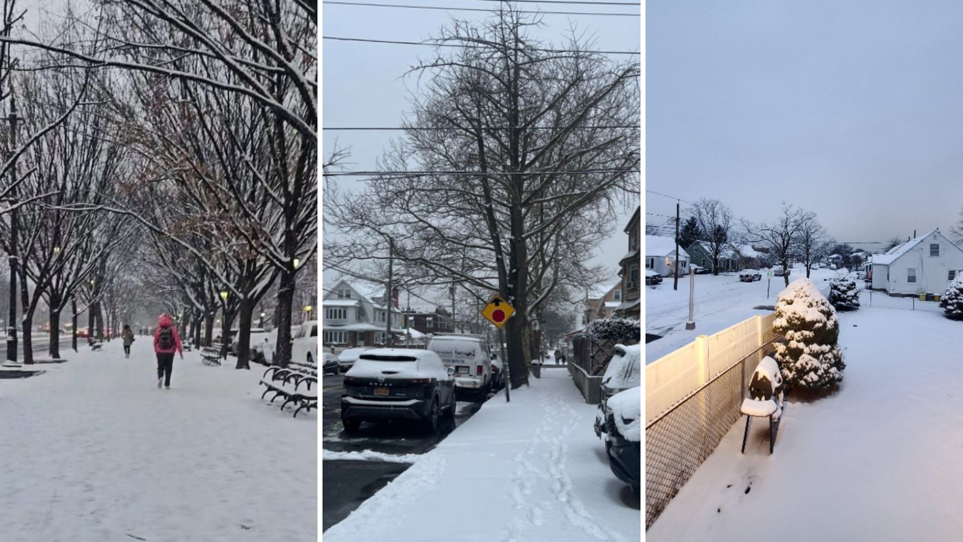 Clima en Nueva York Comparten imágenes de primera nevada en casi dos