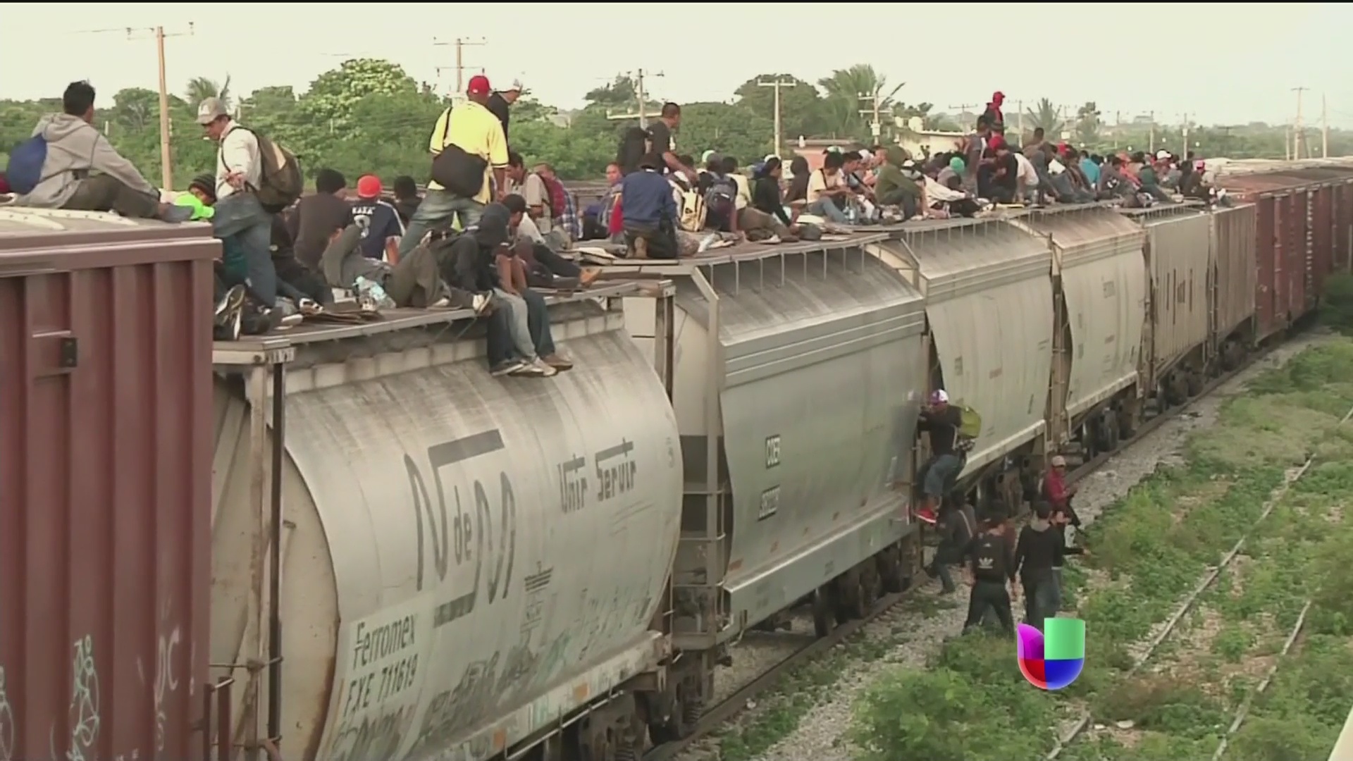 ¿Quiénes son los dueños del tren ‘La Bestia’? Shows Noticiero Univision Univision
