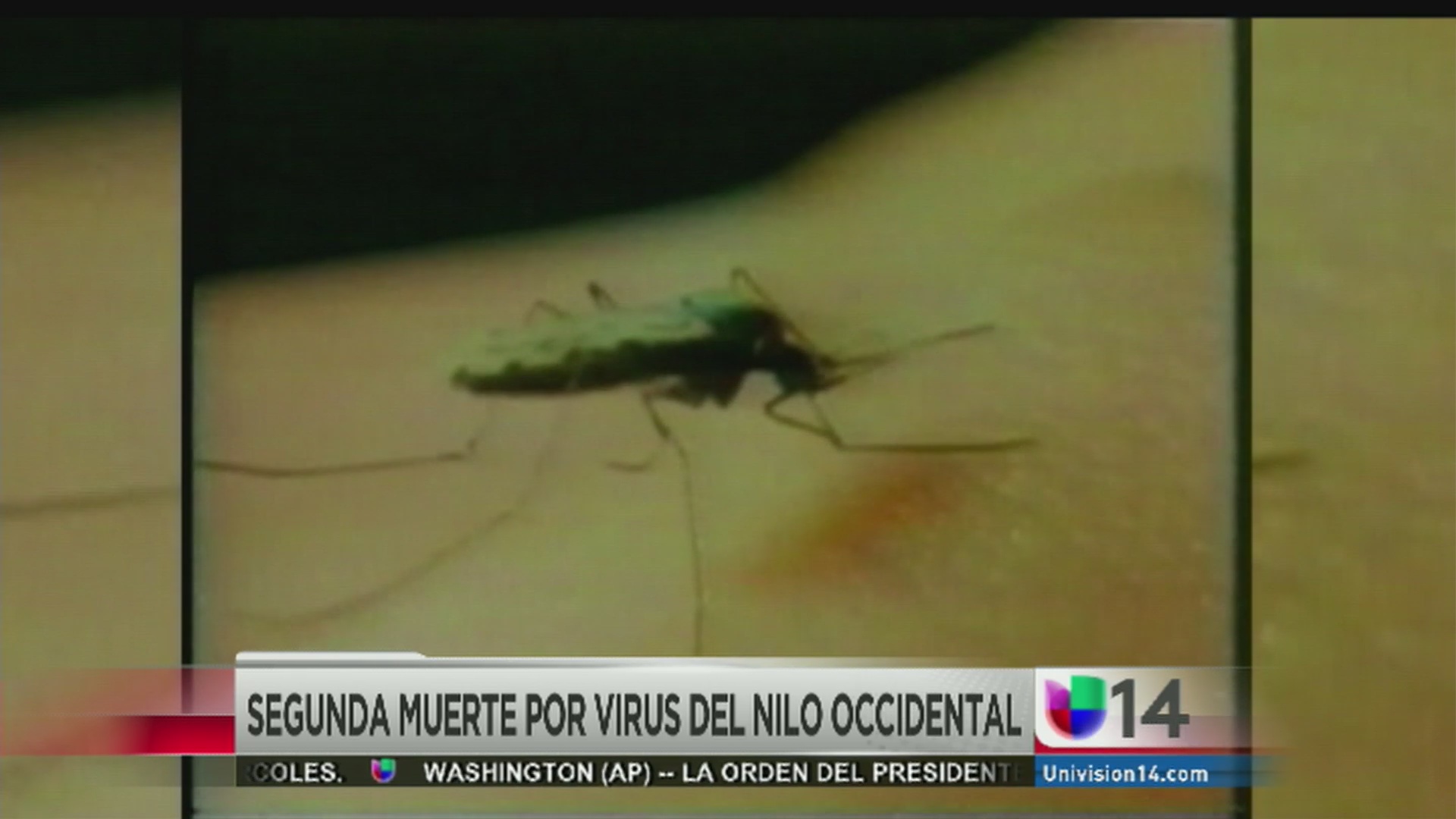 Segunda muerte por virus del Nilo occidental Video Univision 14 San