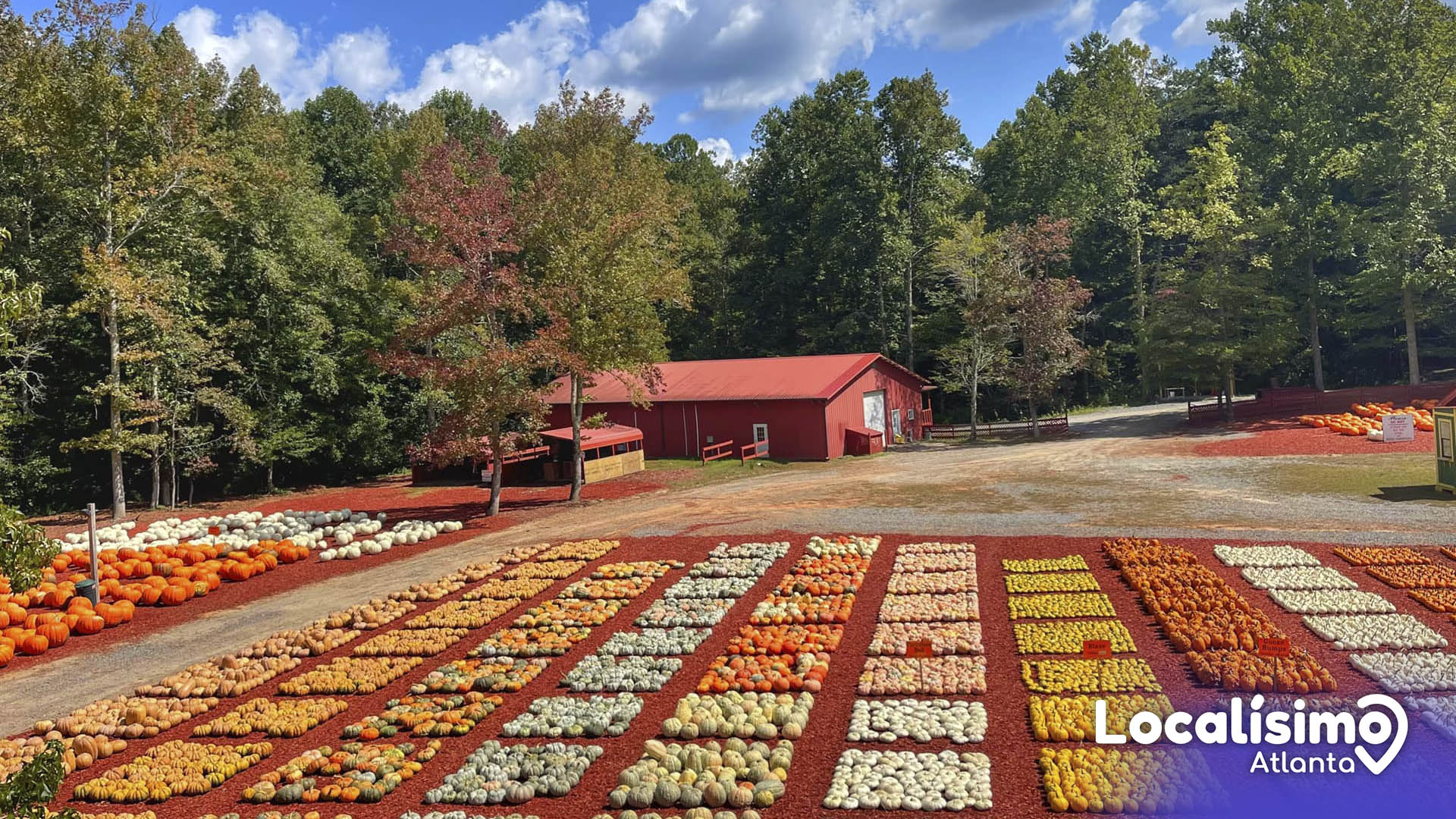 Estas son las granjas a visitar en durante otoño 2022 Fotos