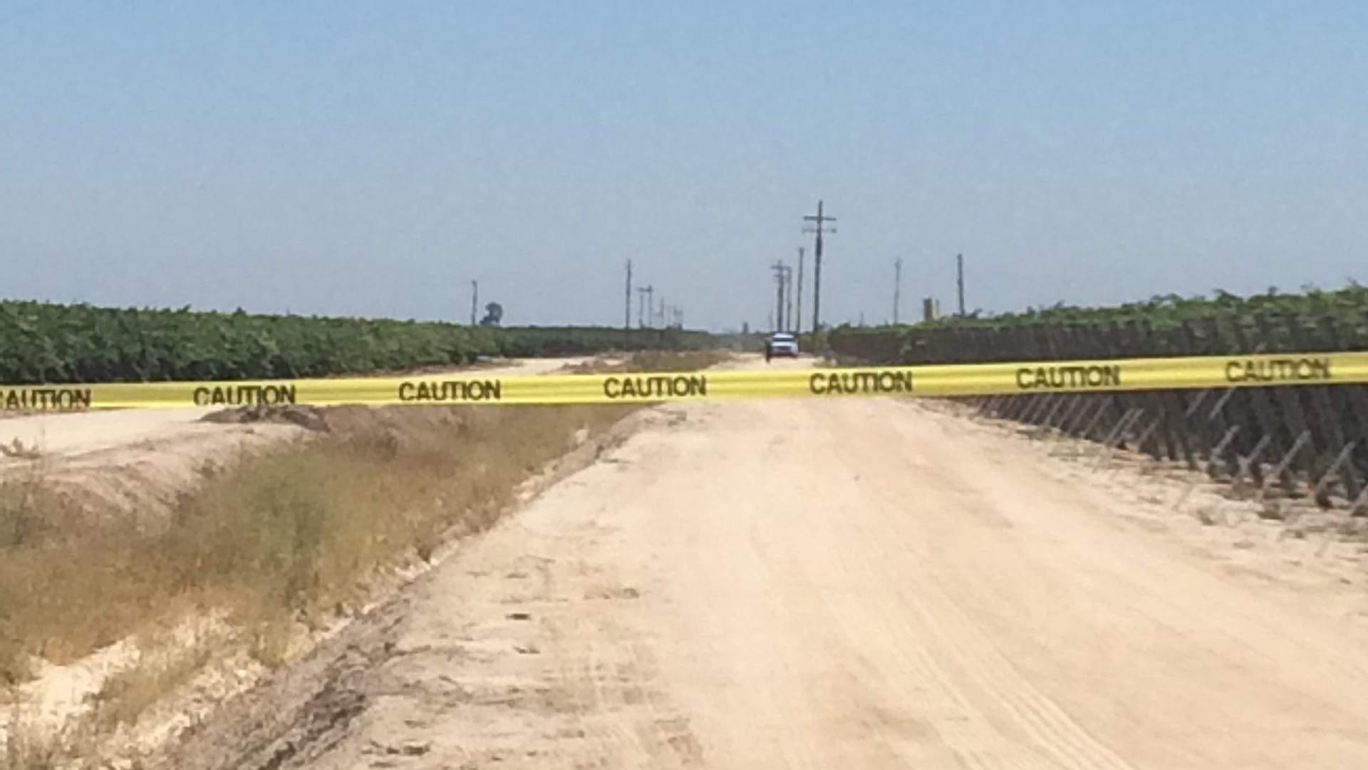 Encuentran muerto a trabajador agrícola mientras limpiaba viñedos en un
