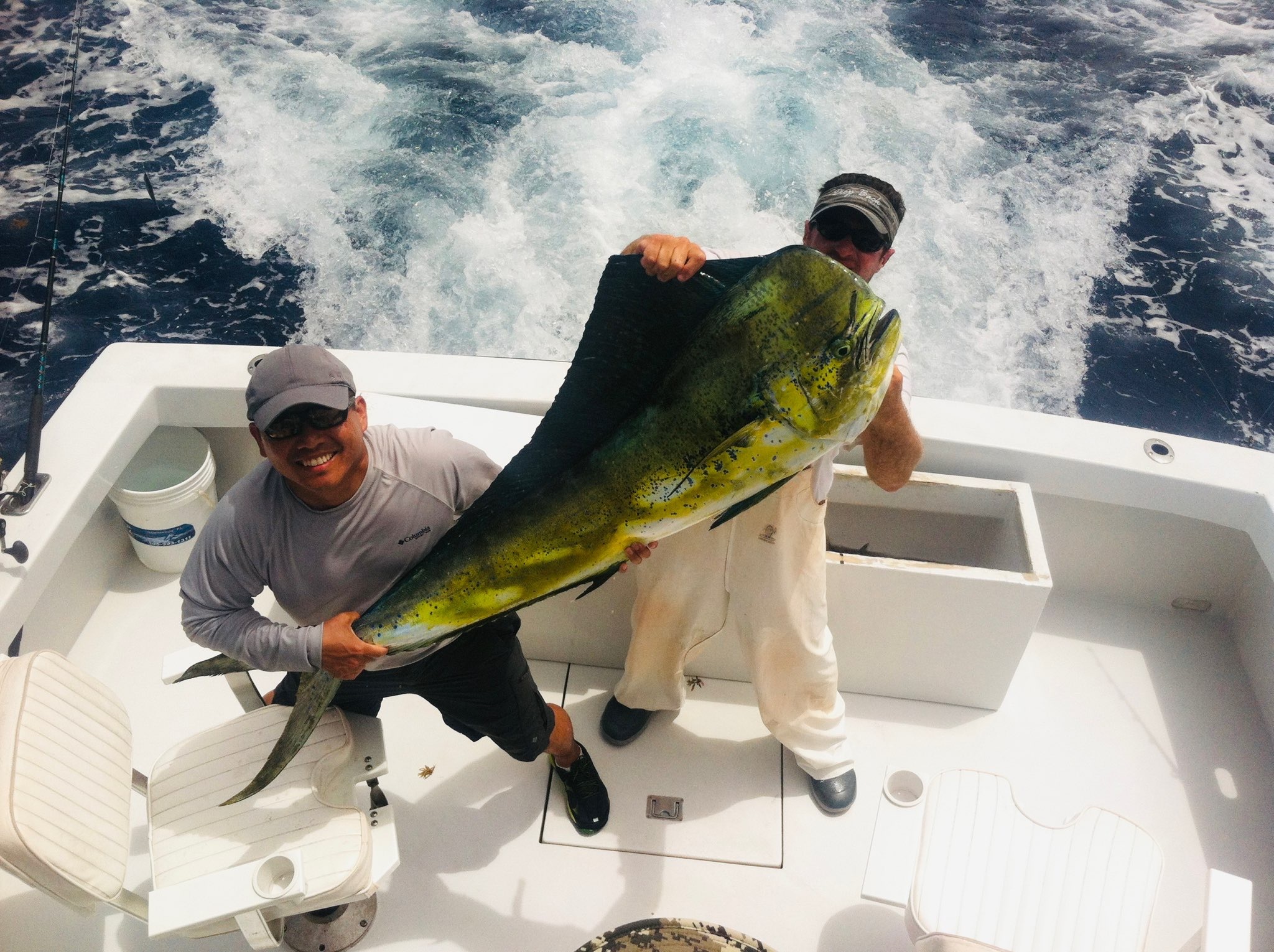 World Record Mahi Mahi