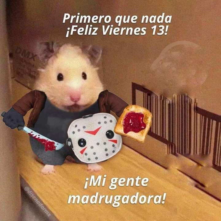 feliz viernes memes