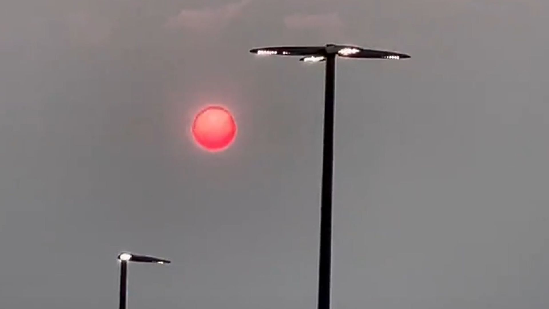 Which Is An Indicator Of Poor Air Quality Salt Bacter vrogue.co