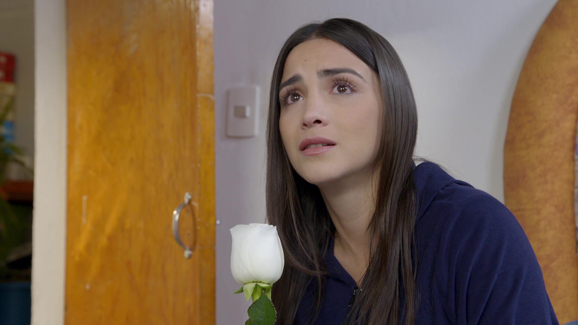 Capitulos Completos De La Rosa De Guadalupe Gratis La Rosa de Guadalupe capítulo 1083: La Virgen de las Palomas I | Shows