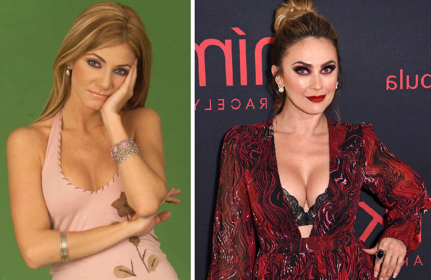 Manola Díez estalla contra Aracely Arámbula