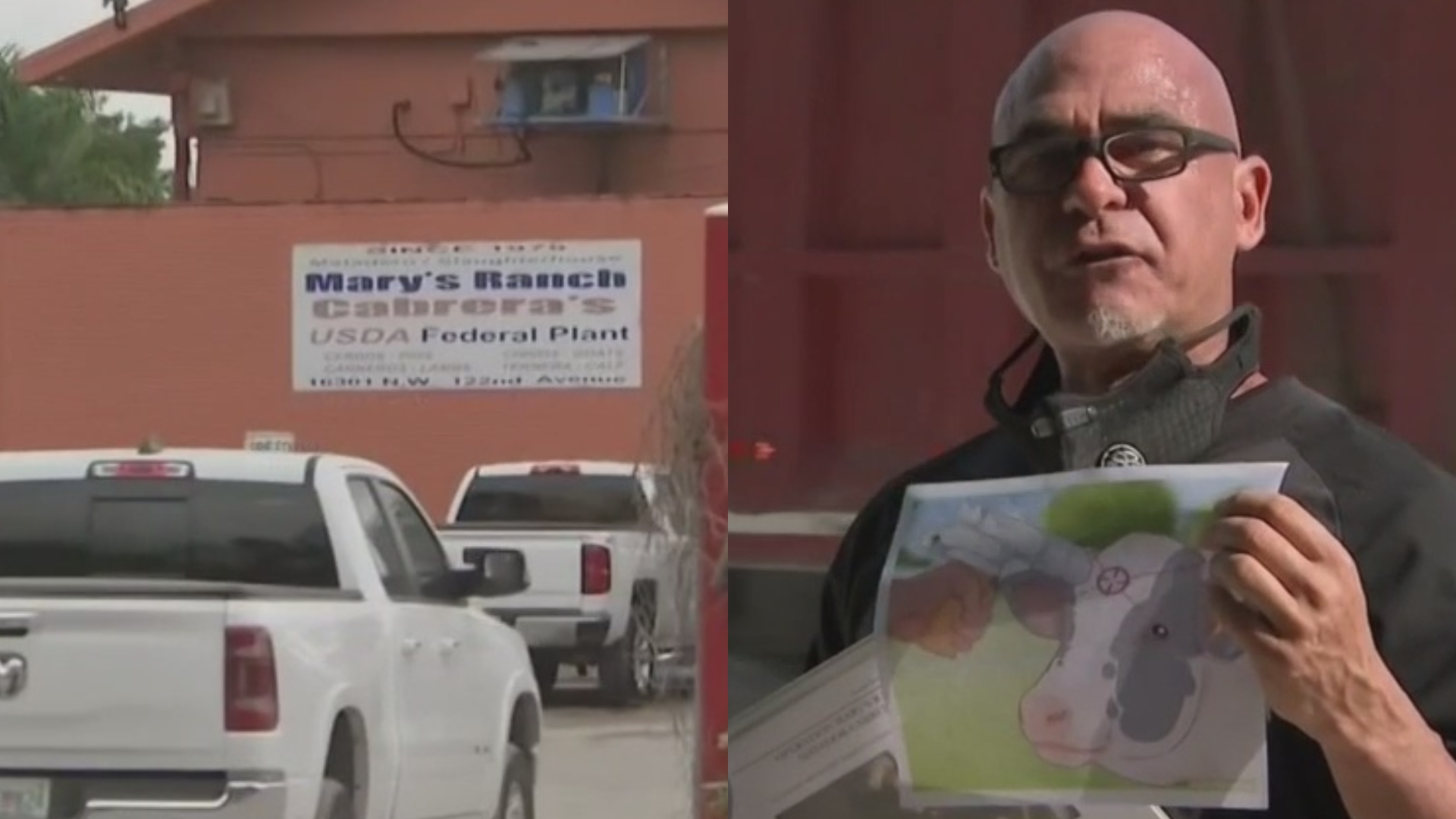 "Los apuñalaban y golpeaban" acusan de tortura y maltrato animal al