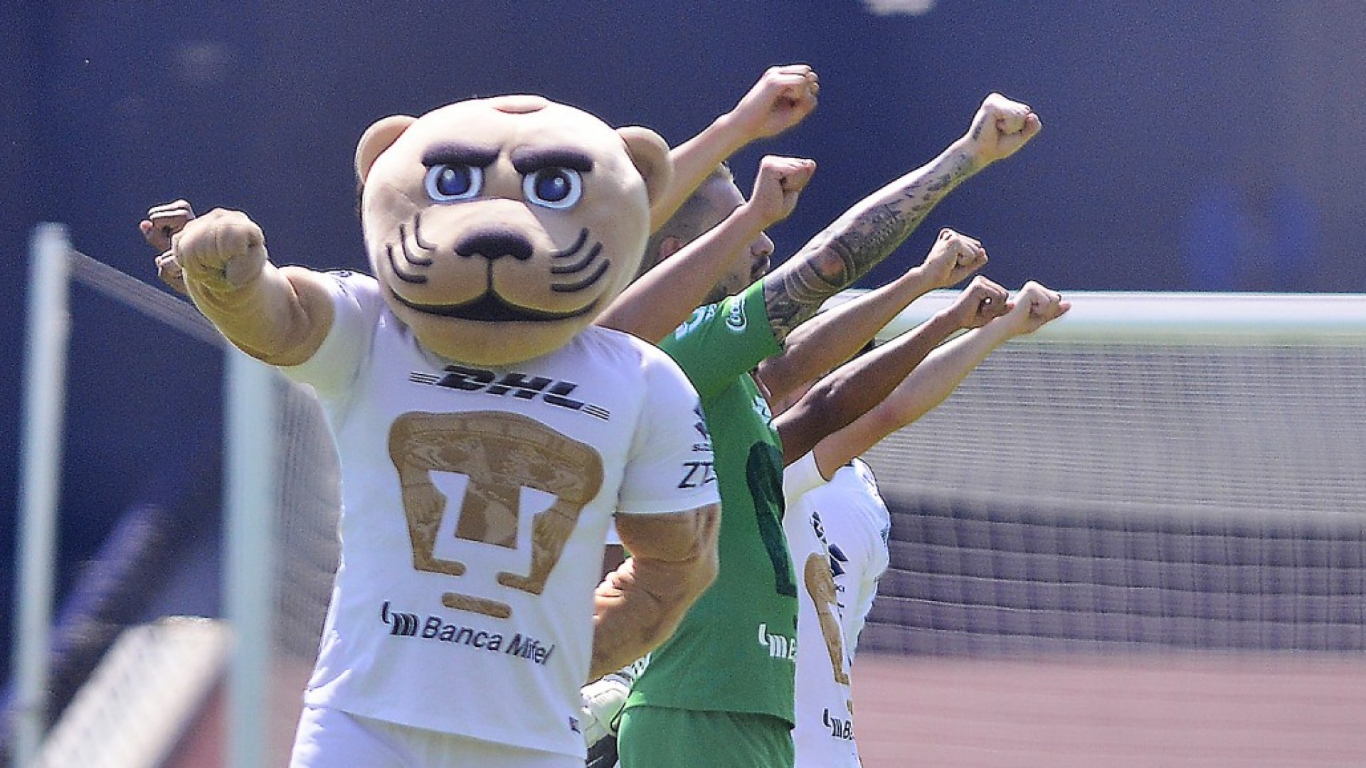 Estos serán los próximos cinco partidos de Pumas en el Clausura 2019 — free download