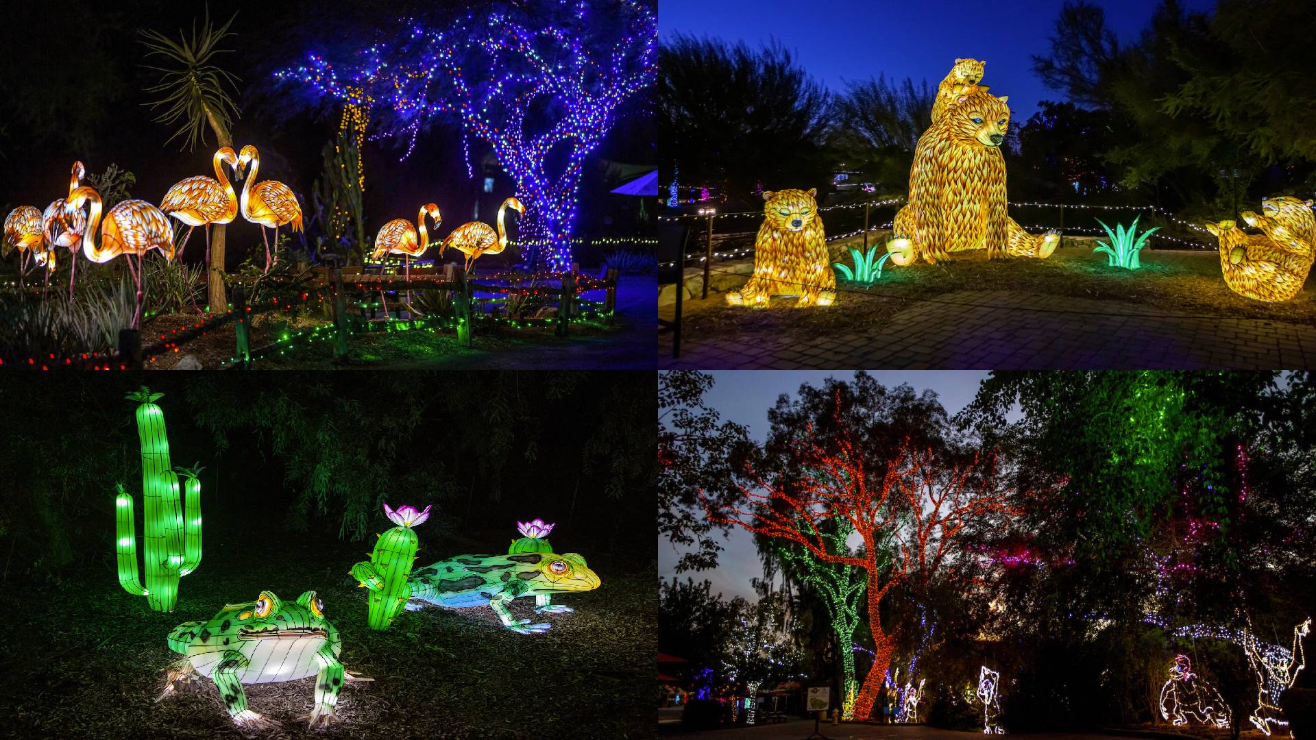“ZooLights”, el espectáculo de luces navideñas en el Zoológico de