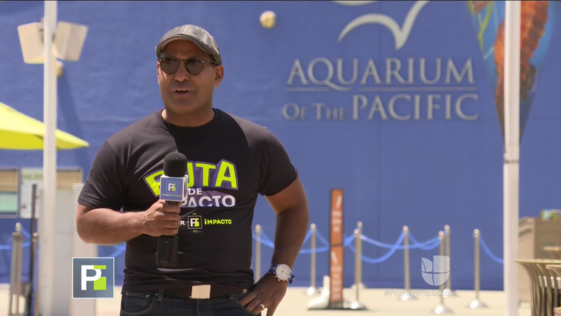 Tony Dandrades te da un adelanto de la Ruta de Impacto Shows Primer