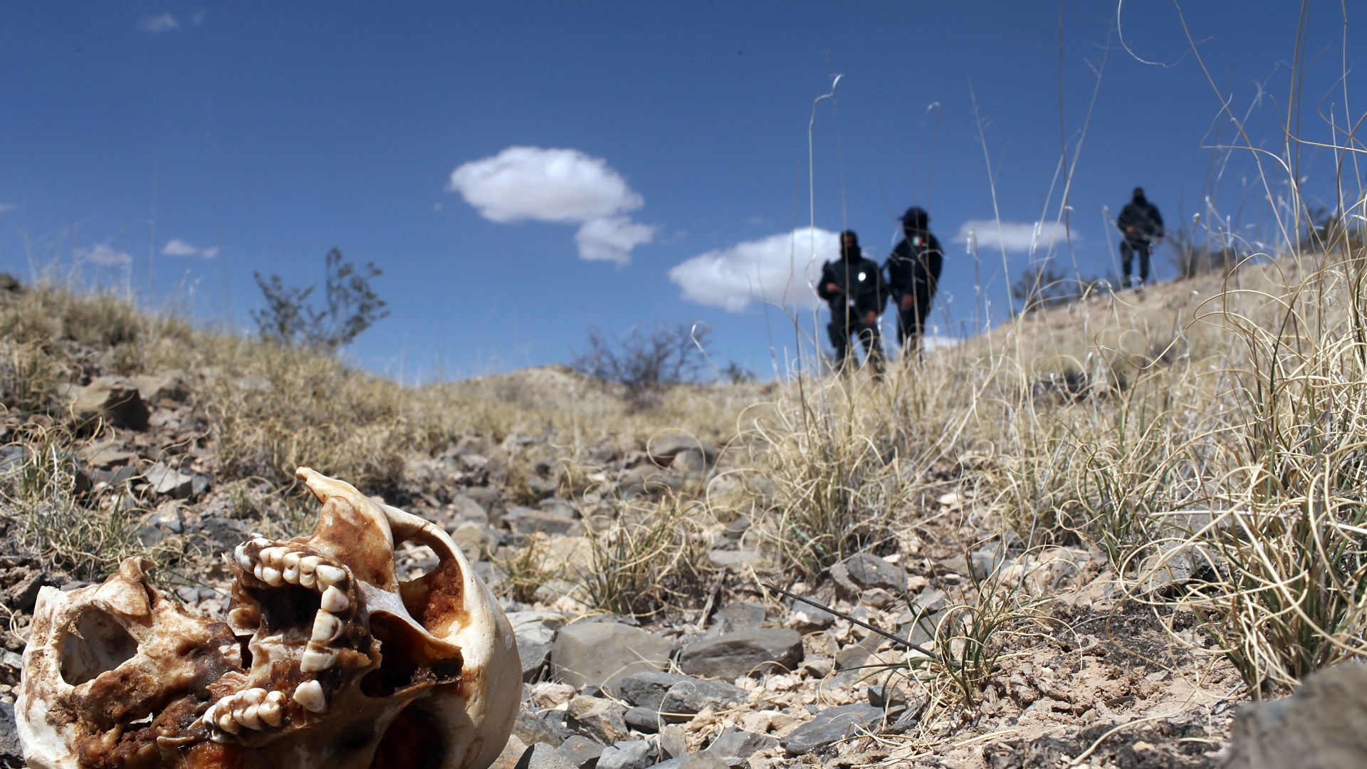 Reporte denuncia la existencia de 390 fosas clandestinas en México