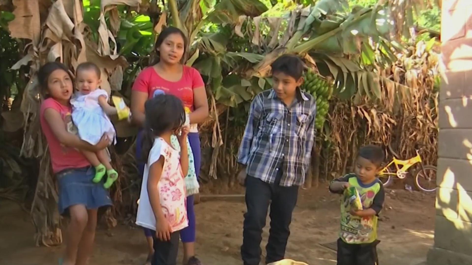 Ayuda de Impacto Joven quedó a cargo de sus cuatro hermanos tras la muerte de sus padres en El